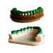 CrealityUAE LCD Dental Cast Resin 1000g - Coming